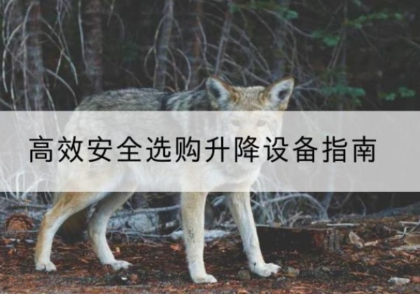 红寺堡升降货梯厂家推荐-*安全选购升降设备指南