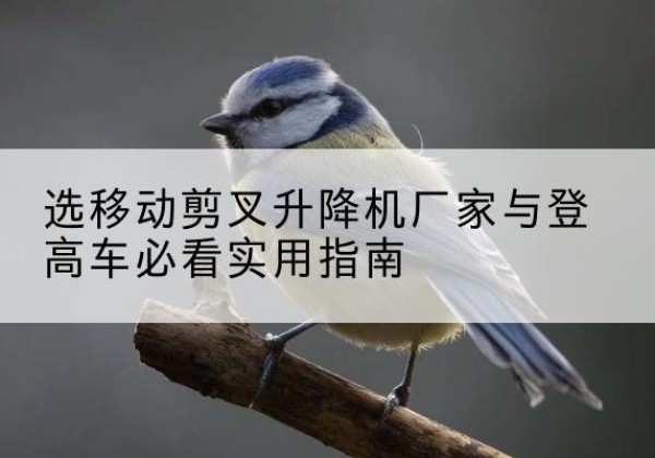 红寺堡电动升降机厂家-选移动剪叉升降机厂家与登高车必看实用指南